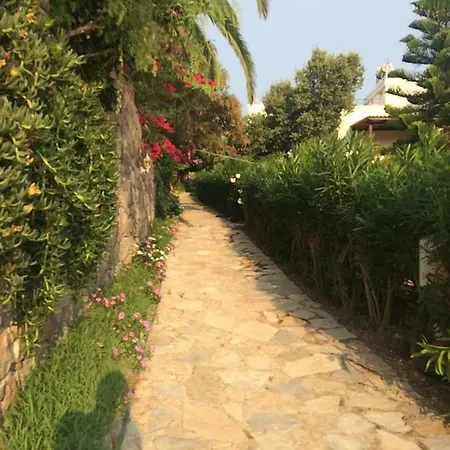 Building 1 - Citrus Garden - 1st Floor - 公寓 *